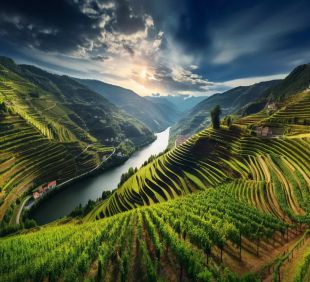 vale do douro